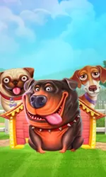 The Dog House